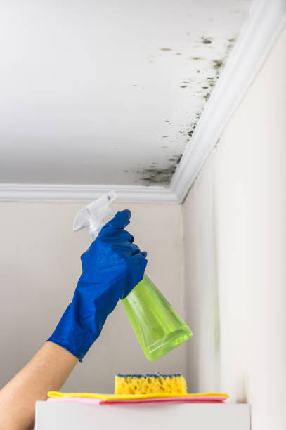 Best Mold Testing  in Gower, MO